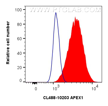 Flow cytometry (FC) experiment of HeLa cells using CoraLite® Plus 488-conjugated APEX1 Polyclonal ant (CL488-10203)