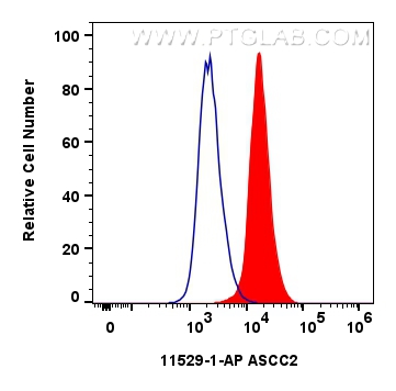 Flow cytometry (FC) experiment of HepG2 cells using ASCC2 Polyclonal antibody (11529-1-AP)