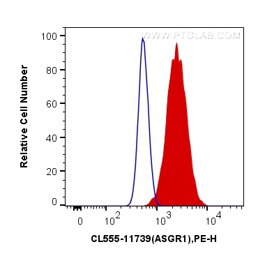 Flow cytometry (FC) experiment of HepG2 cells using CoraLite®555-conjugated ASGR1 Polyclonal antibody (CL555-11739)