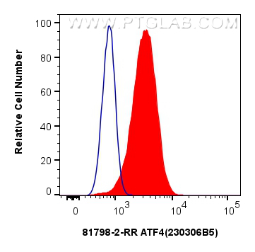 Flow cytometry (FC) experiment of HEK-293 cells using ATF4 Recombinant antibody (81798-2-RR)