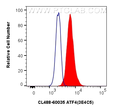 Flow cytometry (FC) experiment of HeLa cells using CoraLite® Plus 488-conjugated ATF4 Monoclonal anti (CL488-60035)
