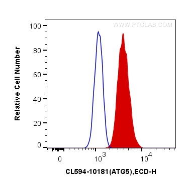 Flow cytometry (FC) experiment of HepG2 cells using CoraLite®594-conjugated ATG5 Polyclonal antibody (CL594-10181)