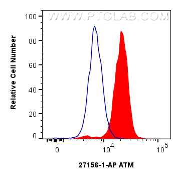 Flow cytometry (FC) experiment of HeLa cells using ATM Polyclonal antibody (27156-1-AP)
