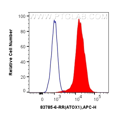 Flow cytometry (FC) experiment of HeLa cells using ATOX1 Recombinant antibody (83785-6-RR)