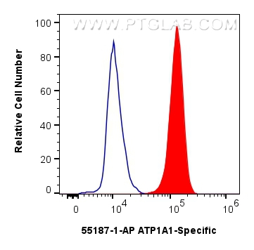 Flow cytometry (FC) experiment of HEK-293 cells using ATP1A1-Specific Polyclonal antibody (55187-1-AP)