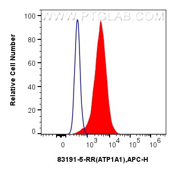 Flow cytometry (FC) experiment of MCF-7 cells using ATP1A1 Recombinant antibody (83191-5-RR)