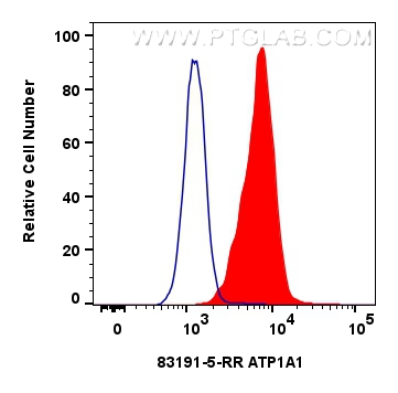 Flow cytometry (FC) experiment of HEK-293 cells using ATP1A1 Recombinant antibody (83191-5-RR)