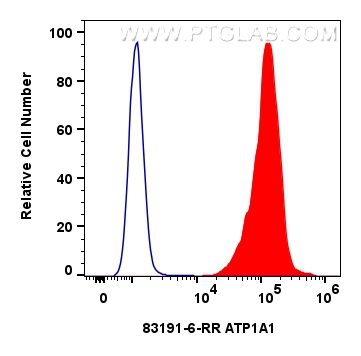 Flow cytometry (FC) experiment of HEK-293 cells using ATP1A1 Recombinant antibody (83191-6-RR)