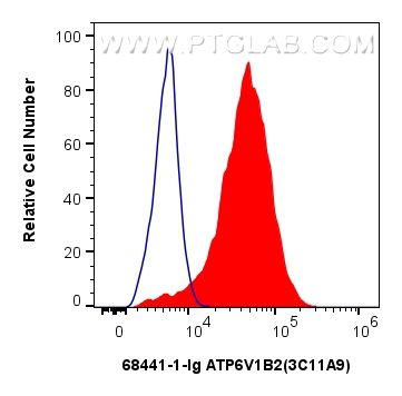 Flow cytometry (FC) experiment of HeLa cells using ATP6V1B2 Monoclonal antibody (68441-1-Ig)