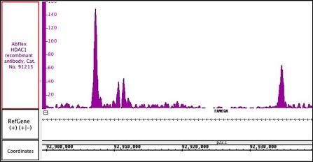 AbFlex HDAC1 antibody (rAb) tested by ChIP-Seq. Chromatin immunoprecipitation (ChIP) was performed using the ChIP-IT High Sensitivity Kit (Cat. No. 53040) with 30 ug of chromatin from mouse testes and 4 ug of AbFlex HDAC1 antibody. ChIP DNA was sequenced on the Illumina NextSeq and 9.3 million normalized sequence tags were mapped to identify HDAC1 binding sites on chromosome 1.
