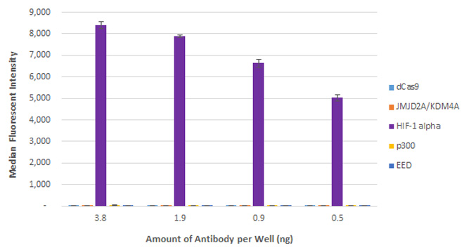 AbFlex HIF-1 alpha antibody (rAb) tested by Luminex bead-based specificity analysis. Luminex bead-based specificity analysis was used to confirm the specificity of AbFlex HIF-1 alpha antibody (rAb) antibody for HIF-1 alpha. Various proteins were conjugated to MagPlex Luminex beads and incubated with various amounts of AbFlex HIF-1 alpha antibody (rAb). Protein-bound antibody was detected with anti-mouse IgG-Phycoerythrin and read in a Luminex instrument. Luminex is a registered trademark of Luminex Corporation.