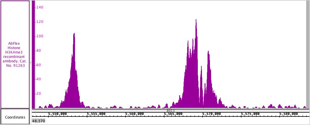 AbFlex Histone H3K4me3 recombinant antibody (rAb) tested by ChIP-Seq Chromatin immunoprecipitation (ChIP) was performed using the ChIP-IT High Sensitivity Kit (Cat. No. 53040) with 30 ug of KMS11 cell chromatin and 4 ug of AbFlex Histone H3K4me3 antibody. ChIP DNA was sequenced on the Illumina NextSeq and 19.8 million sequence tags were mapped to identify Histone H3K4me3 binding sites on chromosome 7.