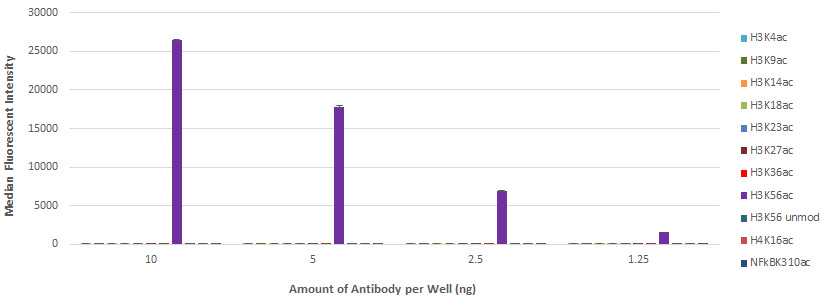 AbFlex Histone H3K56ac antibody (rAb) tested by Luminex bead-based specificity analysis. Luminex bead-based specificity analysis was used to confirm the specificity of AbFlex Histone H3K56ac antibody (rAb) antibody for H3K56ac. Peptides corresponding to regions around major sites of histone H3 acetylation or other acetyl-lysine peptides were conjugated to MagPlex Luminex beads and incubated with various amounts of AbFlex Histone H3K56ac antibody (rAb). Peptide-bound antibody was detected with anti-mouse IgG-Phycoerythrin and read in a Luminex instrument. Luminex is a registered trademark of Luminex Corporation.