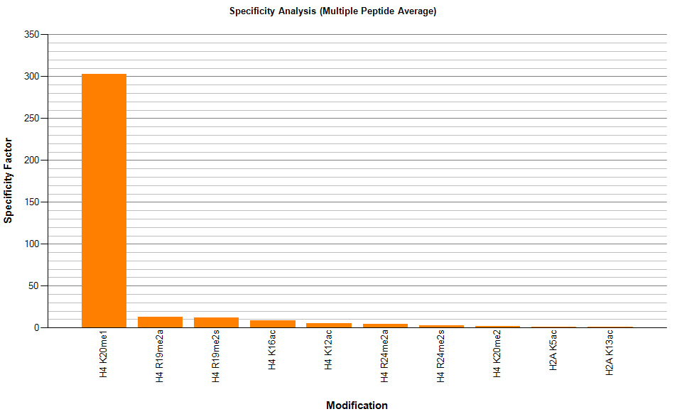 AbFlex Histone H4K20me1 antibody specificity tested by peptide array analysis. Peptide array analysis was used to confirm the specificity of this antibody for its intended modification. Histone H4K20me1 antibody was applied at 0.1 ug/ml to Active Motif's MODified Histone Peptide Array (Catalog No. 13001). The arrays were scanned with ArrayAnalysis Software 7 and the results plotted. Specificity data is shown for the most reactive peptides and those related to the immunogen.