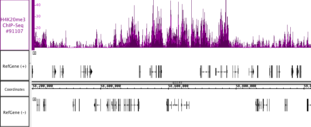 AbFlex Histone H4K20me3 Antibody (rAb) tested by ChIP-Seq. ChIP was performed using the ChIP-IT High Sensitivity Kit (Cat. No. 53040) with 30 ug of chromatin from T-47D, mammary epithelial ductal cells and 4 ug of antibody. ChIP DNA was sequenced on the Illumina HiSeq and 20 million sequence tags were mapped to identify Histone H4K20me3 binding sites. The image shows binding across a region of chromosome 19.
