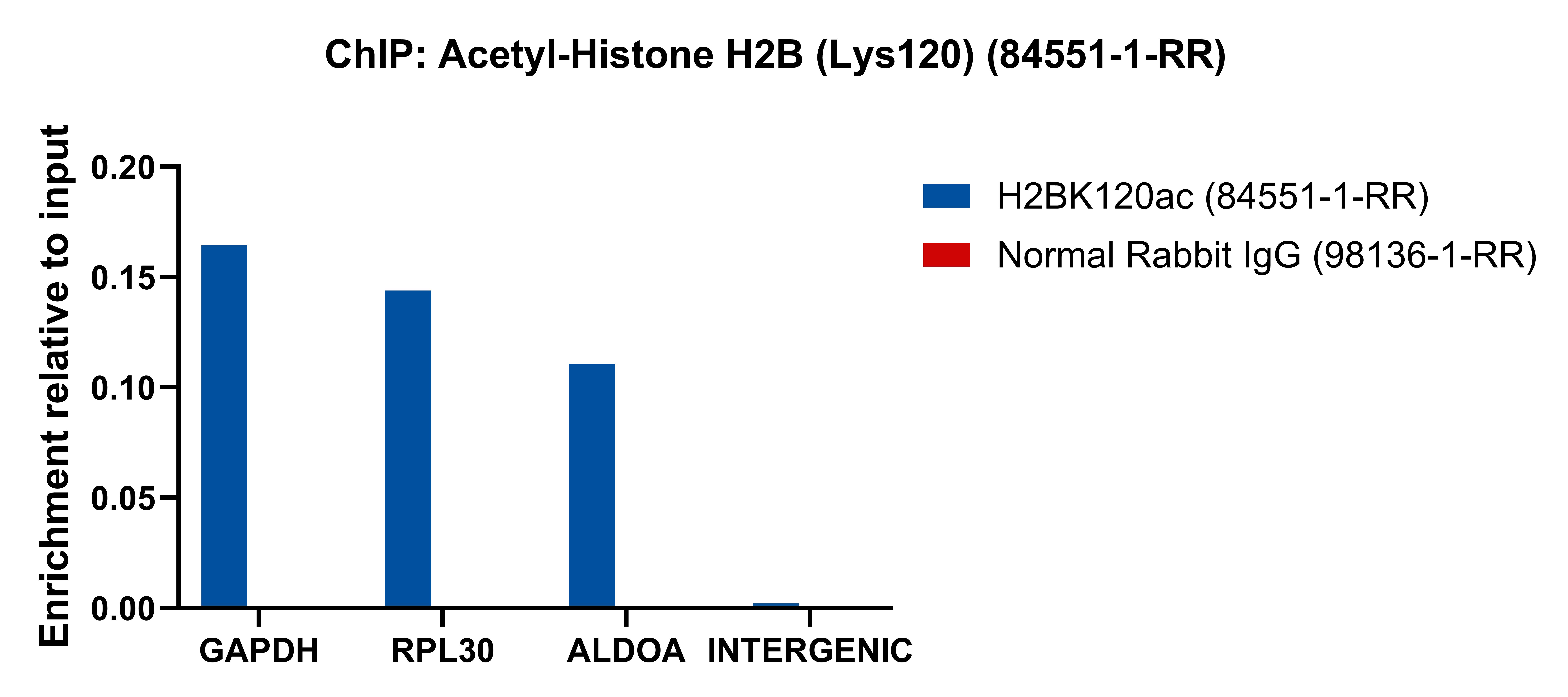 ChIP experiment of HeLa cells using Acetyl-Histone H2B (Lys120) Recombinant antibody (84551-1-RR)