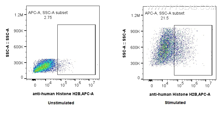 Flow cytometry (FC) experiment of HeLa cells using Acetyl-Histone H2B (Lys5) Recombinant antibody (83171-4-RR)
