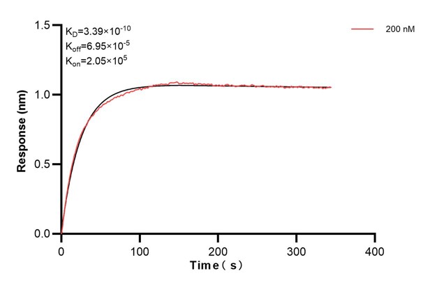 Affinity and Kinetic Characterization of 60224-3-PBS