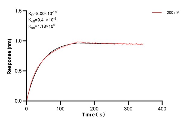 Affinity and Kinetic Characterization of 60224-4-PBS