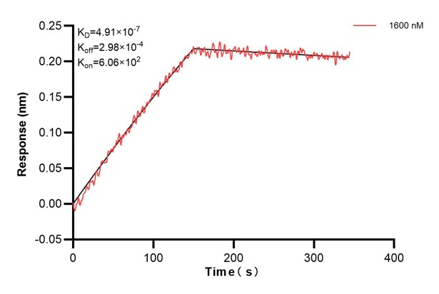 Affinity and Kinetic Characterization of 60250-4-PBS
