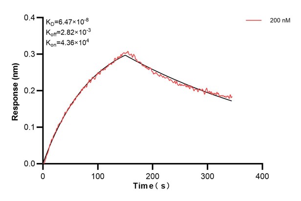 Affinity and Kinetic Characterization of 60427-2-PBS