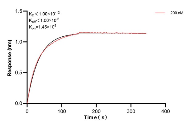 Affinity and Kinetic Characterization of 60427-3-PBS