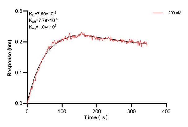 Affinity and Kinetic Characterization of 60485-1-Ig