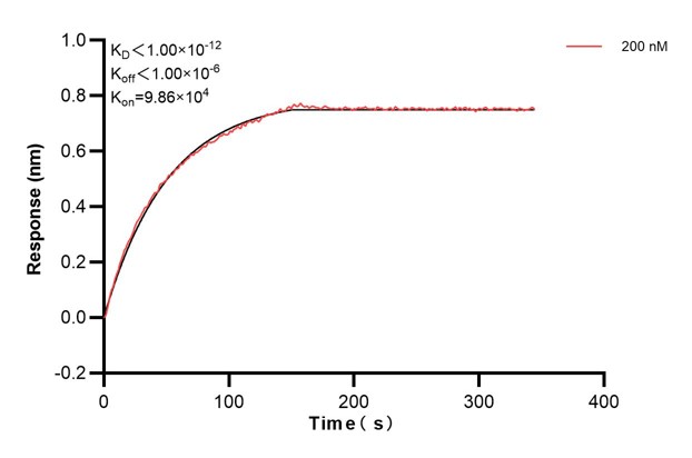 Affinity and Kinetic Characterization of 60502-1-PBS