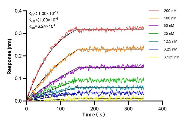 Affinity and Kinetic Characterization of 60624-1-PBS