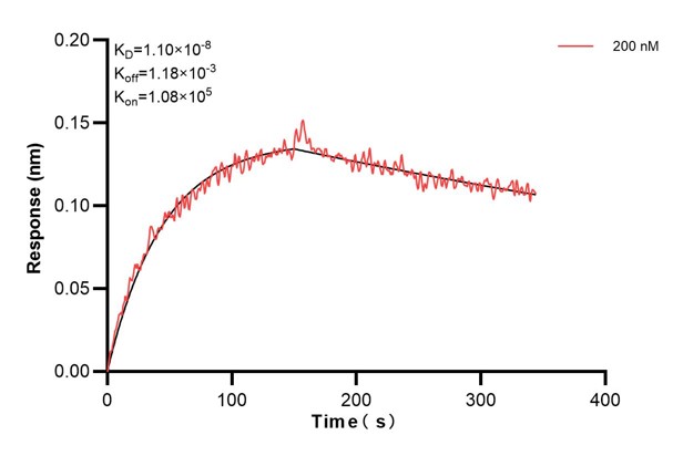 Affinity and Kinetic Characterization of 60838-1-PBS