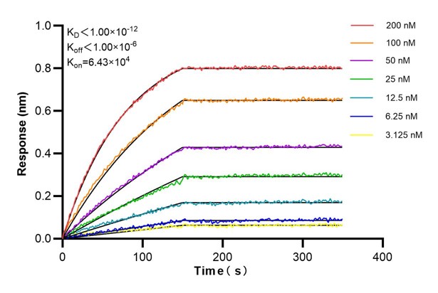 Affinity and Kinetic Characterization of 60859-1-PBS