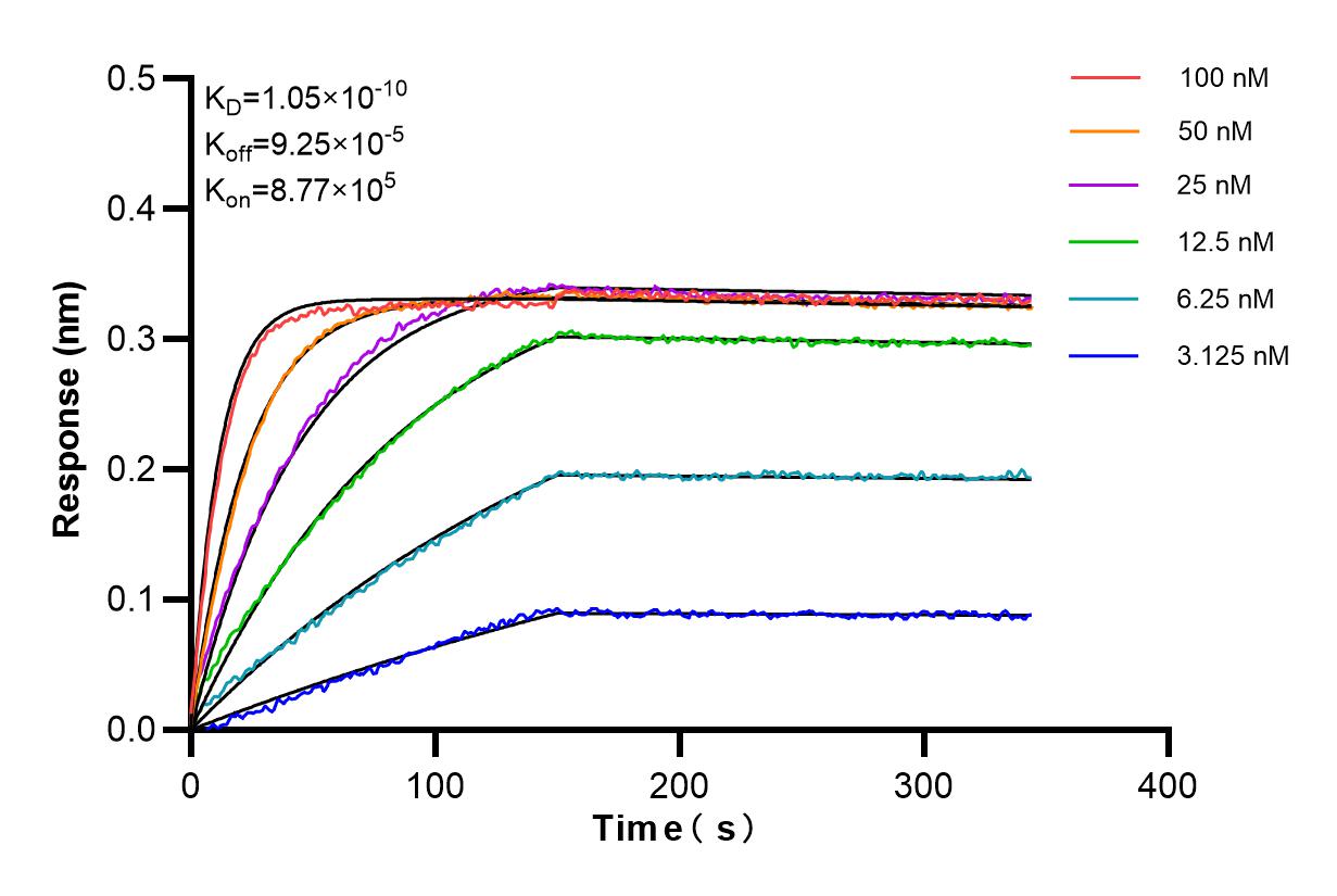 Affinity of 65630-1-MR