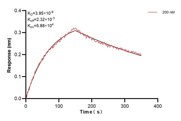 Affinity and Kinetic Characterization of 66009-3-PBS