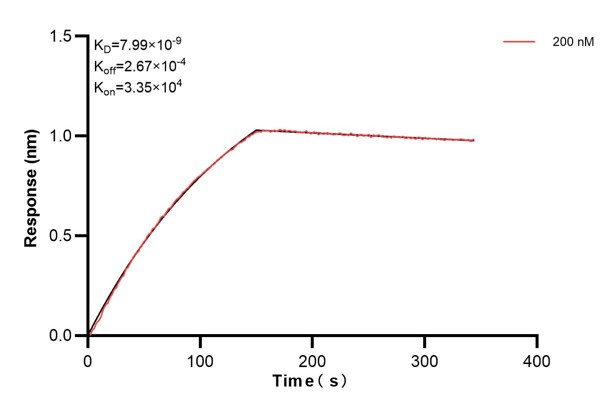 Affinity and Kinetic Characterization of 66013-3-PBS