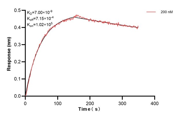 Affinity and Kinetic Characterization of 66459-1-Ig