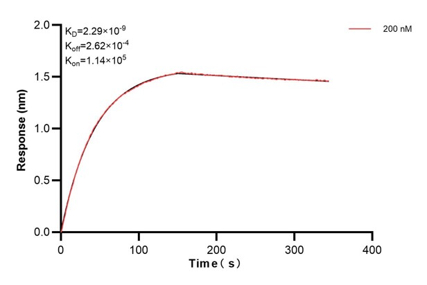 Affinity and Kinetic Characterization of 66517-2-PBS