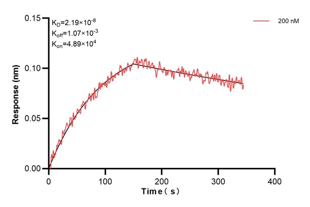Affinity and Kinetic Characterization of 66521-4-PBS