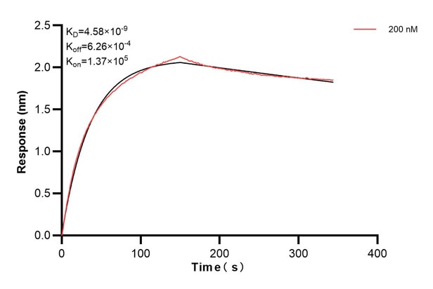 Affinity and Kinetic Characterization of 66662-3-PBS