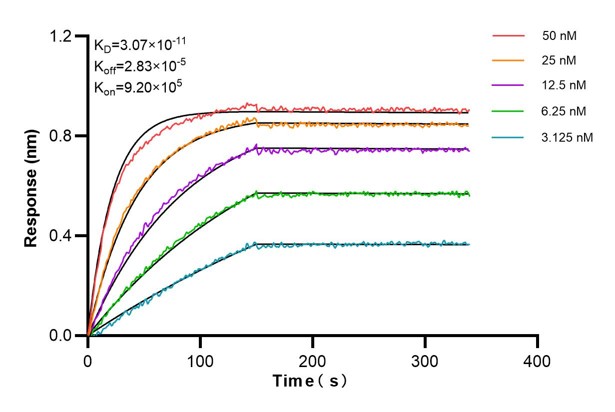 Affinity and Kinetic Characterization of 66682-3-PBS