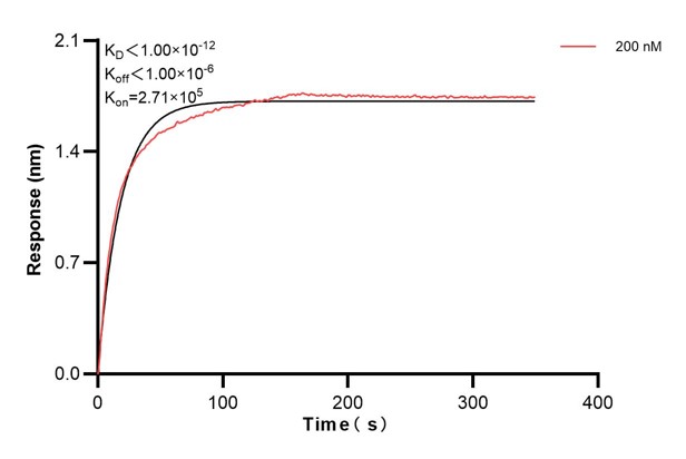 Affinity and Kinetic Characterization of 66684-4-PBS