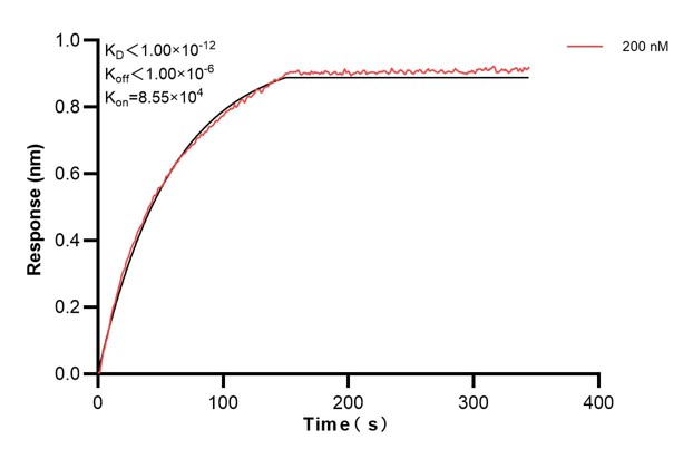 Affinity and Kinetic Characterization of 67082-2-PBS