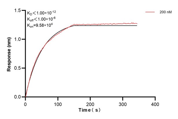 Affinity and Kinetic Characterization of 67082-3-PBS