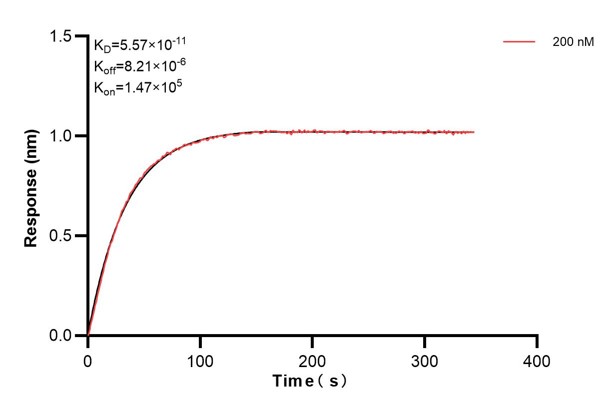 Affinity and Kinetic Characterization of 67258-4-PBS