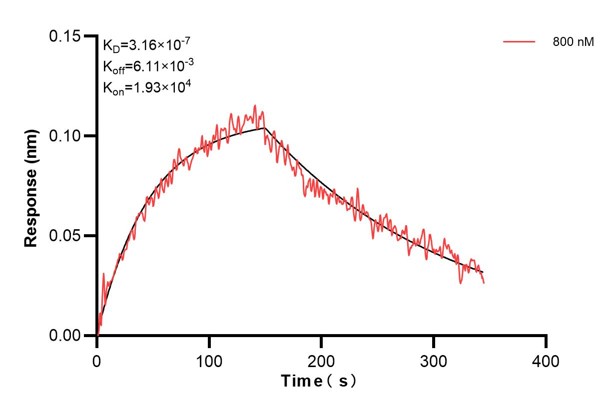 Affinity and Kinetic Characterization of 67411-4-PBS