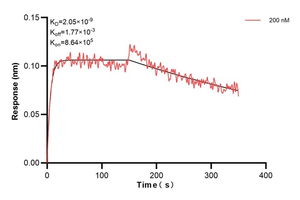 Affinity and Kinetic Characterization of 67411-6-PBS