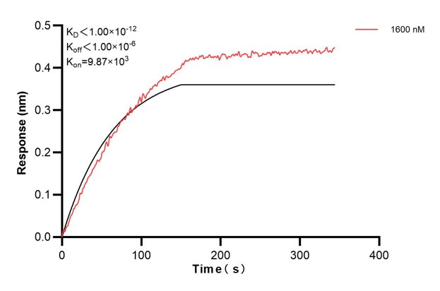 Affinity and Kinetic Characterization of 67605-2-PBS