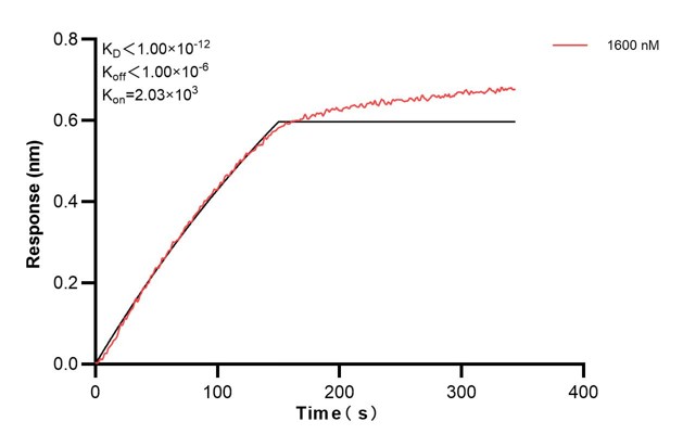 Affinity and Kinetic Characterization of 67605-3-PBS