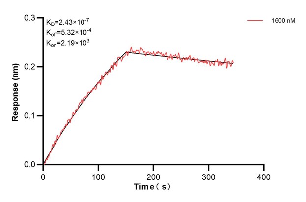 Affinity and Kinetic Characterization of 67605-4-PBS