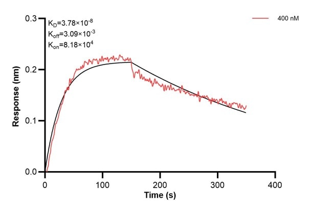 Affinity and Kinetic Characterization of 67690-5-PBS