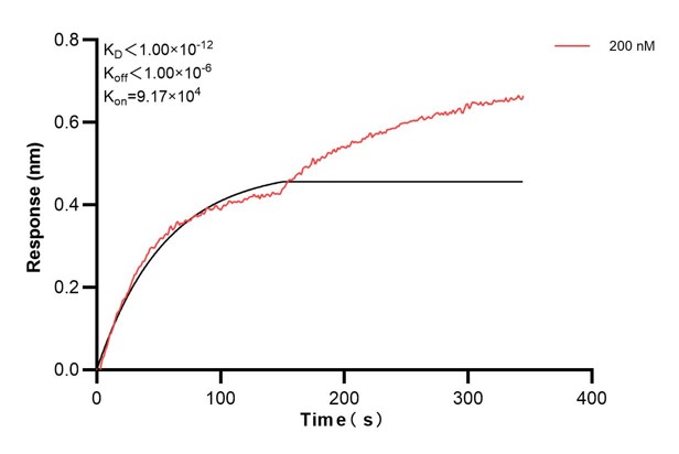 Affinity and Kinetic Characterization of 67784-2-PBS